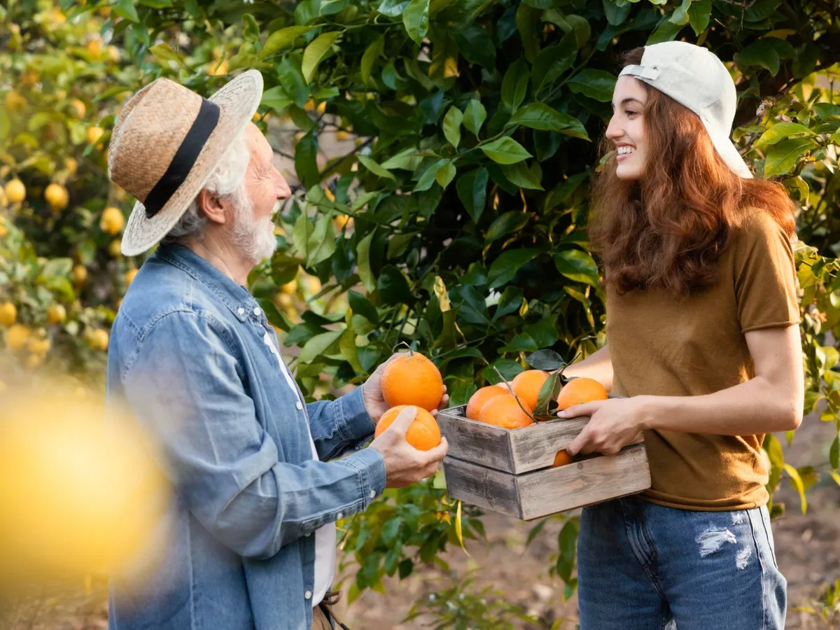 Ce salariu iei dacă mergi la cules de mandarine în Italia? Criteriile de selecție pentru acest job