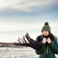 METEO. Alertă de ultimă oră de la meteorologi. Vântul va sufla cu 100 km/h - Foto: Freepik.com (rol ilustrativ)