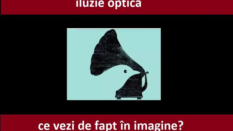 Iluzie optică Foto: Newsweek România/TikTok