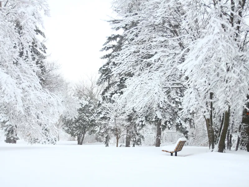 VREMEA Astăzi vine prăpădul alb. Sunt anunțate ninsori, lapoviță și ger în anumite orașe din țară Foto: Pexels (fotografie cu caracter ilustrativ)