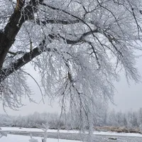 VREMEA se răcește considerabil în toată țară. Precipitații sub formă de ninsoare la munte - Foto: Iquam foto / imagine rol ilustrativ