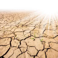 Un val de aer tropical lovește România! Temperaturi și de 38 de grade - Foto: Profimedia/ imagine cu caracter ilustrativ