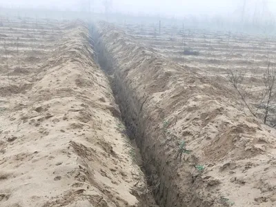 În România, au fost săpați 2 km de „tranșee” de 2 metri adâncime, în mijlocul câmpului, pentru a fi furată o țeavă de irigații - Foto: captură video