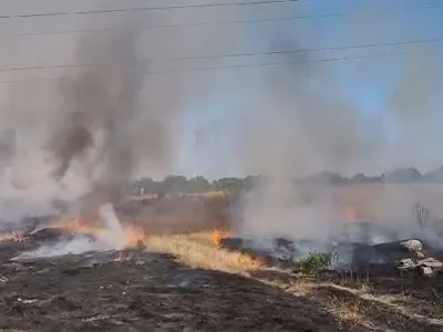 VIDEO Incendiu de vegetaţie uscată, în zona Ploieşti Triaj. Intervin pompierii - Foto: captură video ISU Prahova