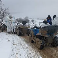 Motivul pentru care patru turiști au fost amendați de jandarmi în Munții Gutâi? Căutau adrenalină - Foto: Arhiva / imagine cu rol ilustrativ