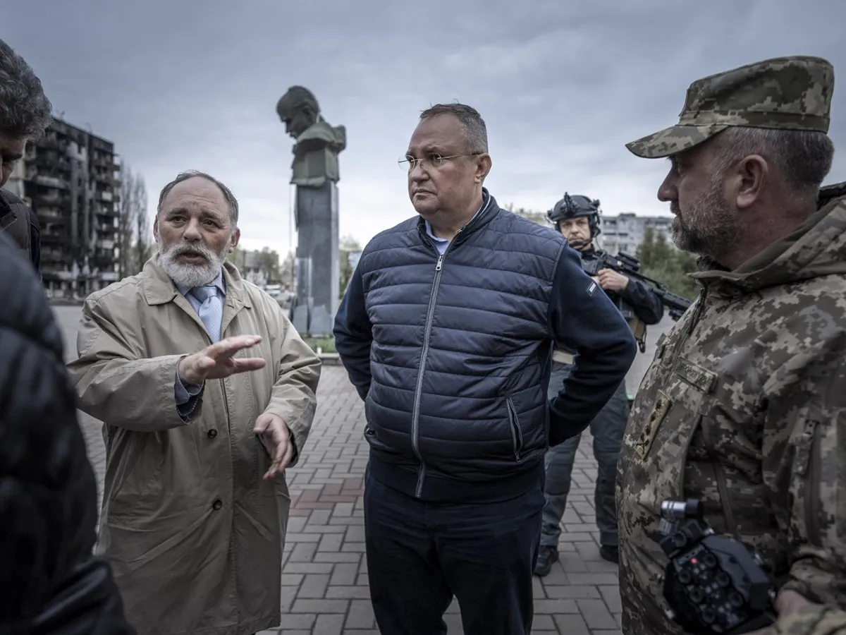 Nicolae Ciucă - Foto: Profimedia