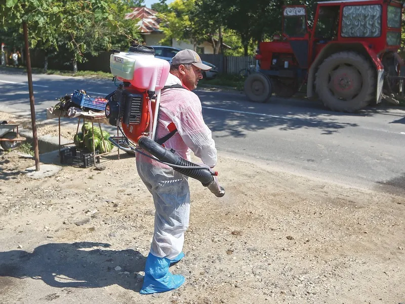 EPIDEMIE. Geronimo Brănescu, alături de Paul Stănescu, coordonează acțiunile de stârpire a focarelor  de pestă porcină din România