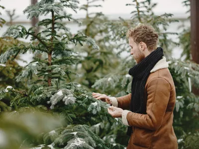Ce plante să tăiați în decembrie pentru o grădină de primăvară mai sănătoasă. Plantele intră în stare latentă - Foto: Freepik (Imagine cu rol ilustrativ)
