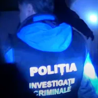Grup infracțional organizat, destructurat - Foto: Politia Romana