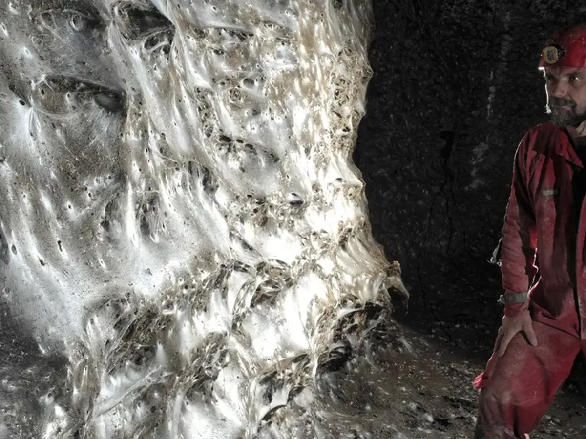 Pânză de păianjen uriașă descoperită într-o peșteră. Bate orice record cu peste 111.000 de păianjeni