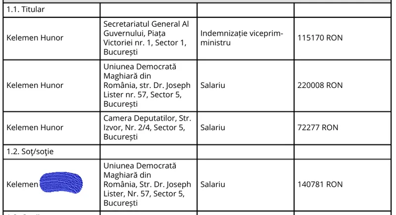 Declarație de avere Kelemen Hunor - Foto: ANI.ro