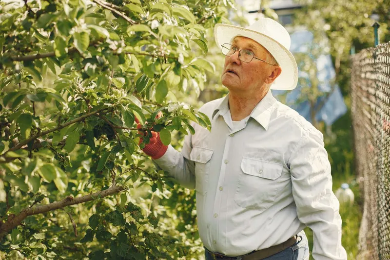 Bărbat care se uită la un copac - Foto: Pexels (Imagine cu rol ilustrativ)
