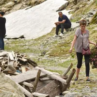 Fotografia cu femeia care a furat bujori dintr-o specie protejată, a devenit virală Foto: Facebook