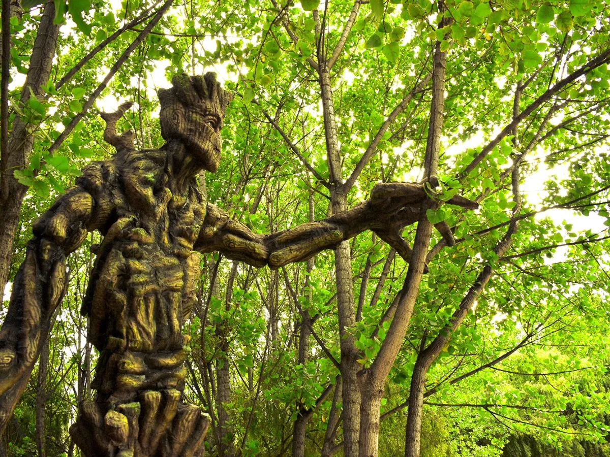 Ce particularitate are cel mai ciudat arbore din lume? Specialiștii l-au supranumit „copacul-umblător”
