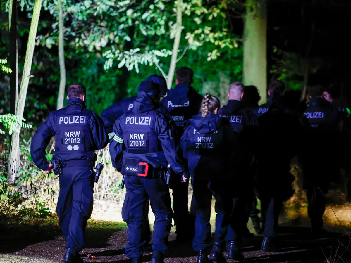 Alertă majoră în Germania. Continuă sabotajele asupra rețelelor electrice