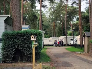 Două autocare cu căpșunari români au revoltat turiștii dintr-un camping din Belgia Foto: nieuwsblad.be