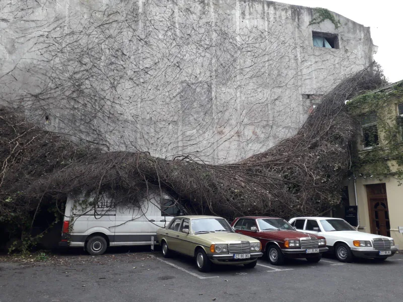 Efectele vibrațiilor de la lucrări Foto: NWR