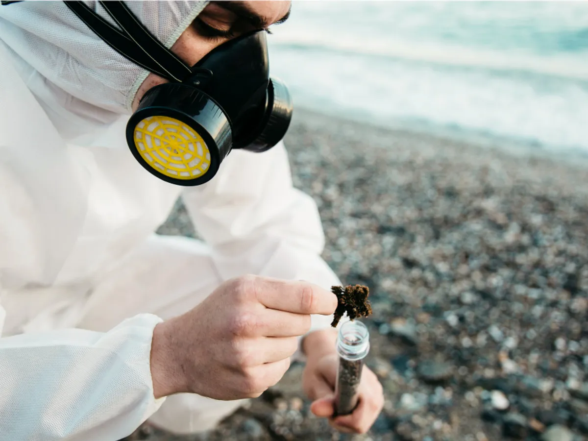 O insectă periculoasă se răspândește în Europa și transmite boli grave. Specialiști: „E doar începutul”