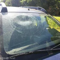 Foto: Garda de Mediu Arad