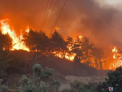 Incendiile devastatoare din Turcia, aduse în mare parte sub control după aproape două săptămâni. / Foto: dailysabah.com