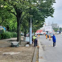 Vechile borduri nu aveau nimic, dar sunt schimbate pe B-dul Timișoara Foto: Newsweek România