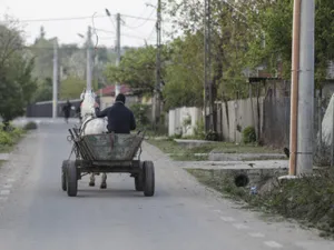 All-inclusive pe bani publici. O primărie din Argeș face cursuri de mii de euro cu angajații, la mare. Primar: „Merită, sunt banii mei”