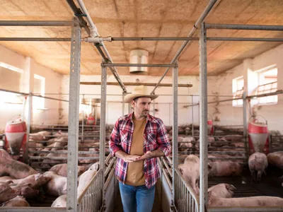 Muncitor agricol care trece pe lângă cuștile de porcii - Foto: Freepik (Imagine cu rol ilustrativ)