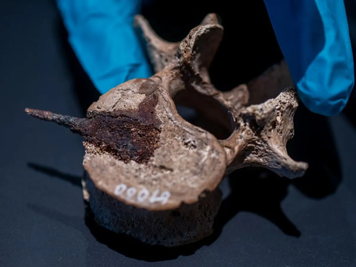 Un ADN antic ridică cortina de pe un vechi imperiu misterios, chiar lângă România - Foto: Profimedia Images