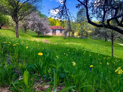 Casa de vis a Gabrielei Andreescu- Foto: Facebook