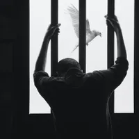 Un bărbat din SUA va fi despăgubit cu șase milioane de dolari pentru 23 de ani de detenție/FOTO: Unsplash
