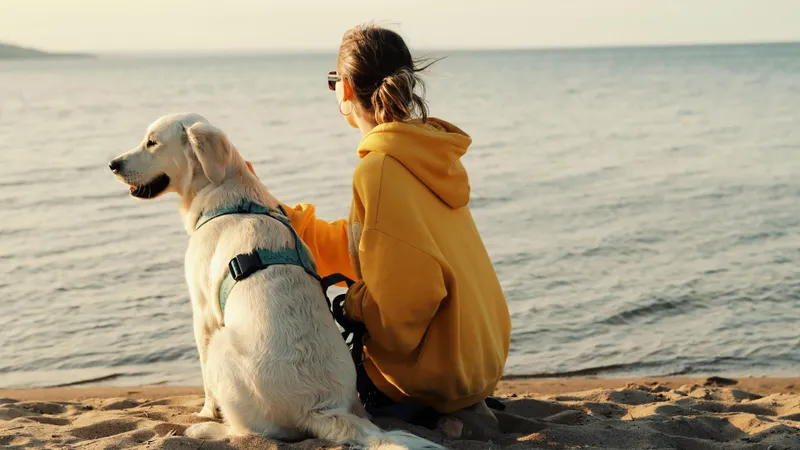 Horoscop 28 mai 2025. Taur – revelații, Scorpion – confruntări, Pești – decizii, Leu – inspirație - FOTO: Pexels (imagine cu rol ilustrativ)
