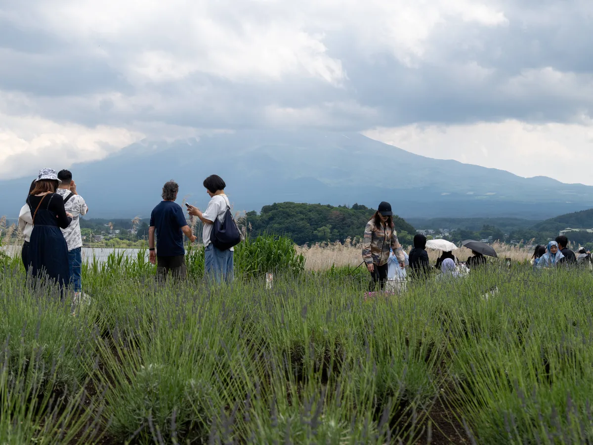 Muntele Fuji - Foto: Profimedia Images