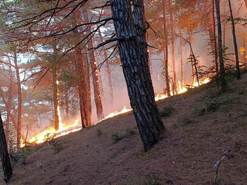 Incendiu pe coasta Mării Negre, în apropierea unui palat al lui Putin - Foto: Profimedia Images