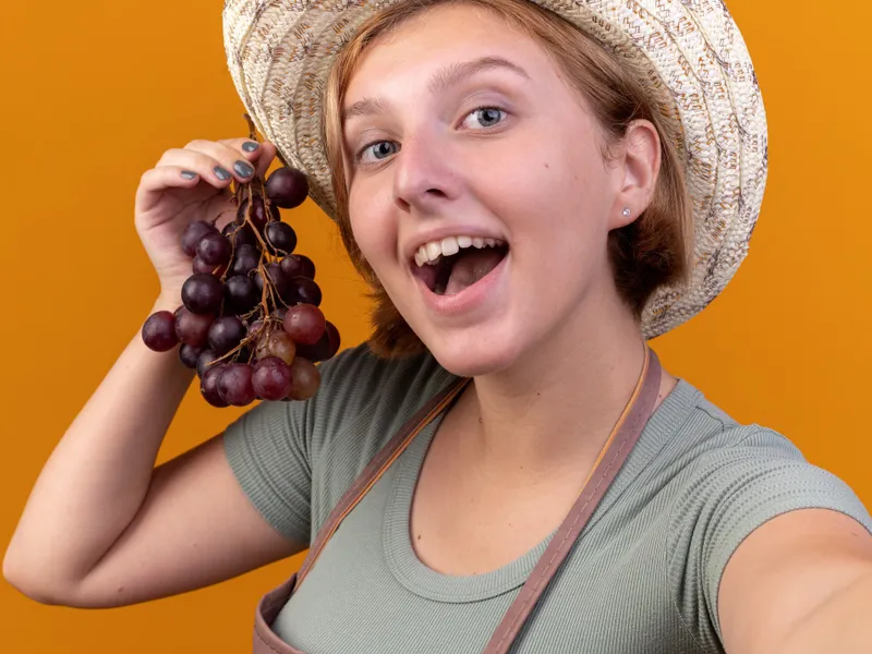 Hultoanele, fructele din copac care îți detoxifică colonul. Sunt sățioase și fac bine la inimă - Foto: Freepik (imagine cu rol ilustrativ_
