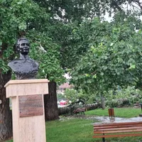 Unul dintre plopii fără soț care l-au inspirat pe Mihai Eminescu a fost doborât de o furtună Foto: ISU Iași