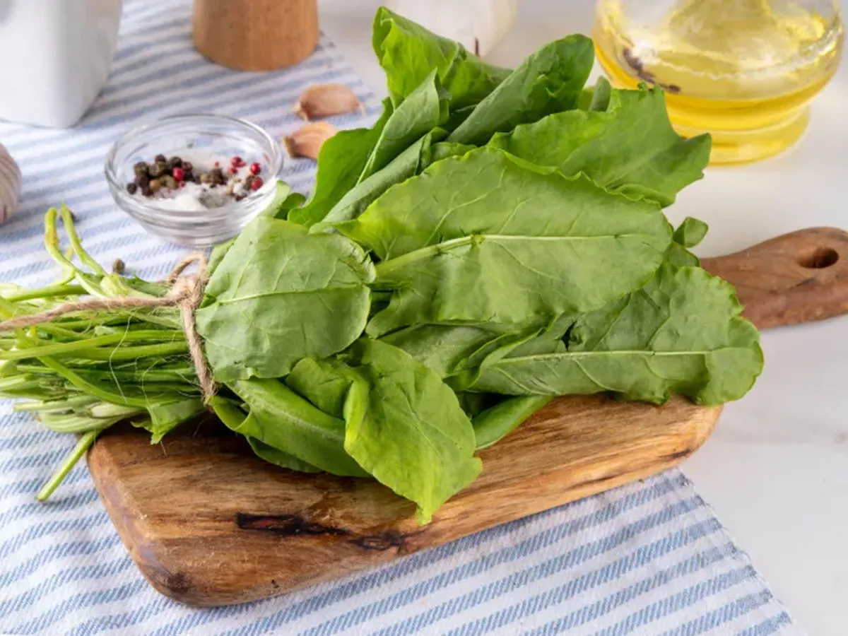 O plantă uitată din pajiștile noastre e plină de vitamina C. Azi o călcăm, dar cândva hrănea generații întregi