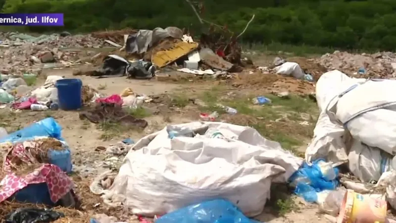 Gunoaiele au fost aduse ilegal în România/Captură video