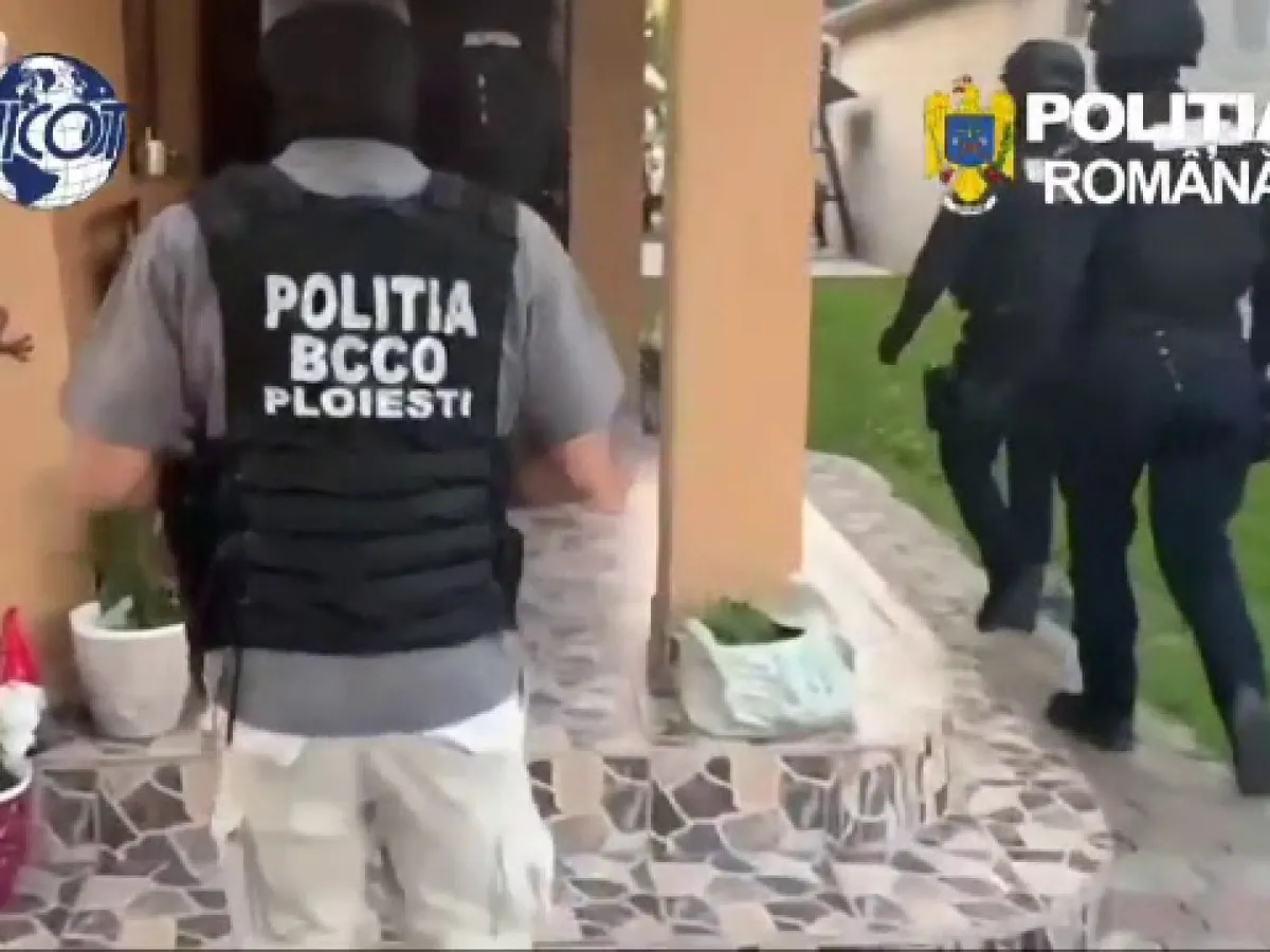 Rețea de traficanți de droguri, destructurată în Prahova. Suspecții au vârste între 17 și 25 de ani