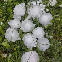 Grindină de dimensiunea unui ou de găină în nordul țării. Culturi și mașini distruse de furtună - Foto: TeleM Iași