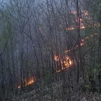 Zeci de hectare de vegetație uscată au luat foc în Prahova. În zonă bate vântul - Foto: ISU Prahova