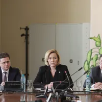 Carmen Dan a răspuns întrebărilor în Comisia de Apărare din Senat. Foto: Inquam Photos/Octav Ganea