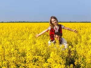 Șoferii care opresc pe drum să facă poze în rapiță riscă amenzi foarte mari. Scrie în Codul Rutier foto: itcseeds.ro(fotografie cu caracter ilustrativ)