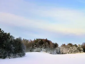 În ce stațiuni din țară a fost inaugurat sezonul de schi. Cât costă o zi de skipass? Foto: Pexels (fotografie cu caracter ilustrativ)