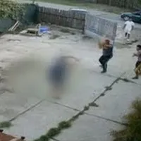 Un pădurar, bătut cu sălbăticie în curtea casei de hoții de lemne din Dâmbovița. Captură video