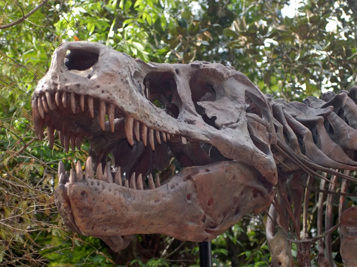 T.rex - Foto: Profimedia Images
