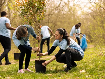 Oamenii plantează copaci - Foto: Magnific (rol ilustrativ)