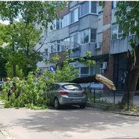 27 de copaci căzuți pe autoturisme/Foto: Facebook