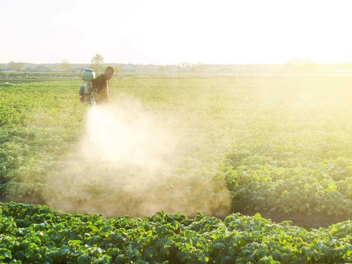 România trebuie să își reducă emisiile din agricultură și să treacă la împăduriri. Măsuri urgente Foto: Profimedia Images (fotografie cu caracter ilustrativ)