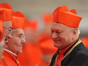 Cine este singurul român din Colegiul Cardinalilor de la Vatican - Foto: Profimedia Images