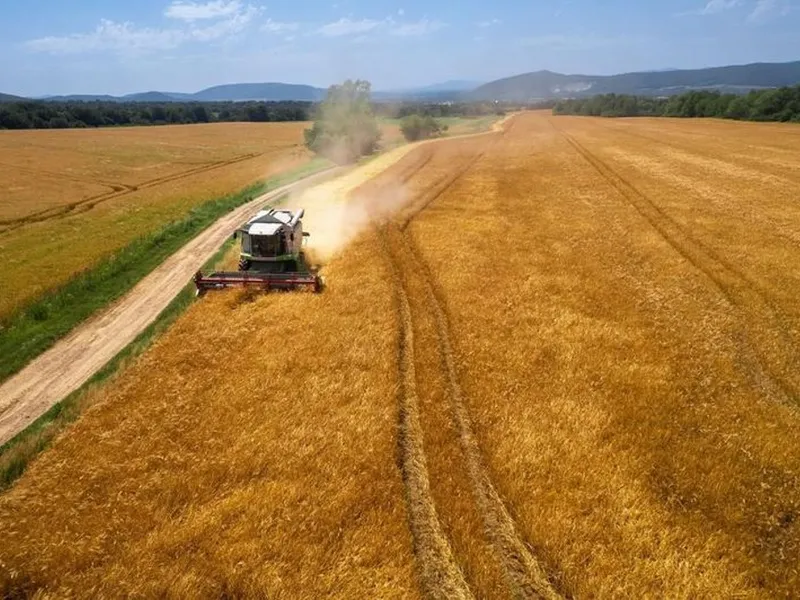 Ucraina cere Comisiei Europene revenirea la liberalizarea completă a importurilor de cereale în UE, imagine cu caracter ilustrativ - Foto: Arhivă